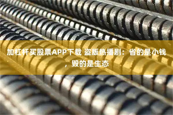 加杠杆买股票APP下载 盗版热播剧：省的是小钱，毁的是生态