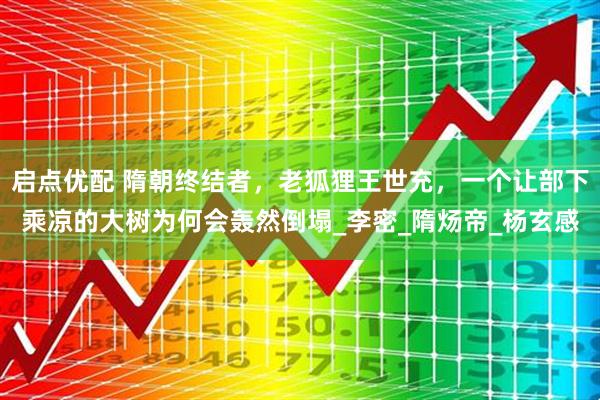 启点优配 隋朝终结者，老狐狸王世充，一个让部下乘凉的大树为何会轰然倒塌_李密_隋炀帝_杨玄感