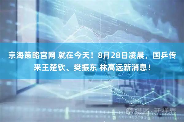 京海策略官网 就在今天！8月28日凌晨，国乒传来王楚钦、樊振东 林高远新消息！